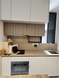 The Avenir (D9), Condominium #501946631